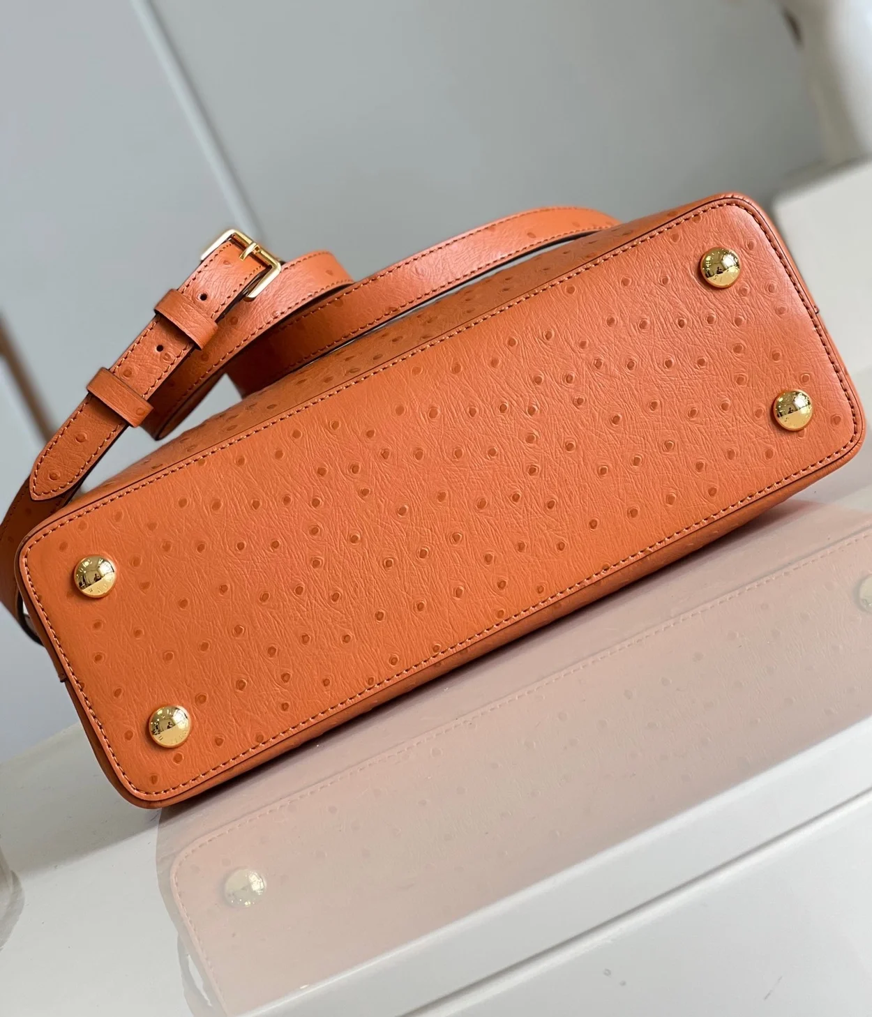 루이비통 타조 카퓌신 BB M93483