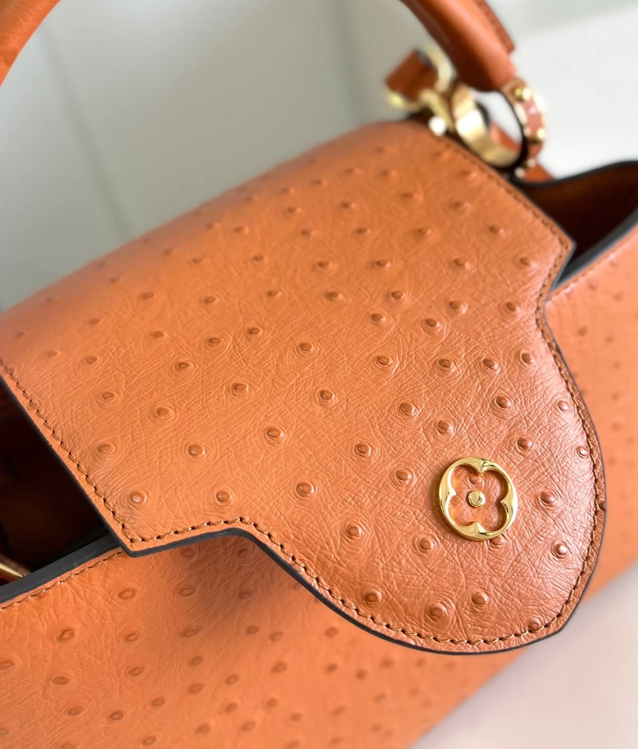 루이비통 타조 카퓌신 BB M93483