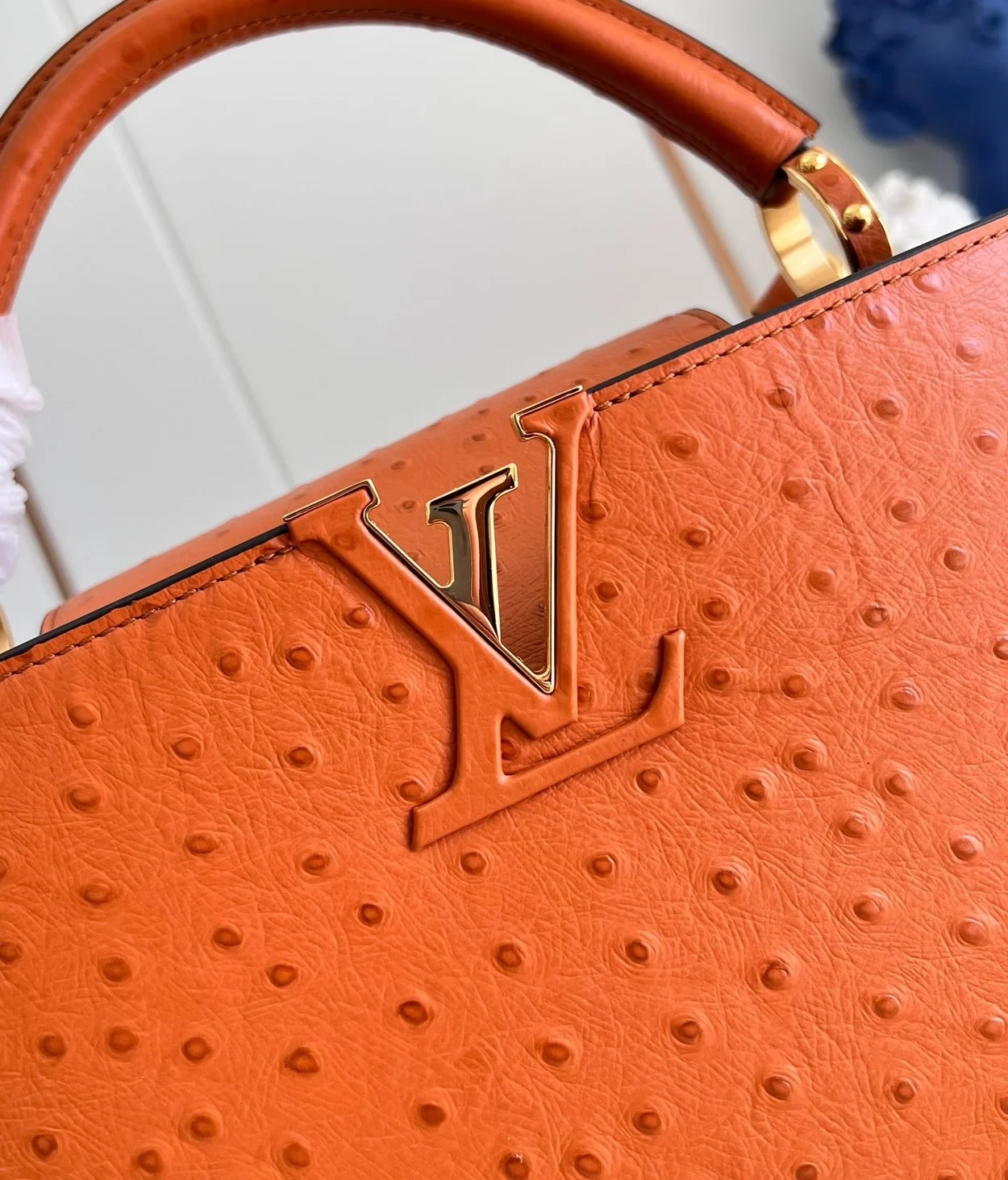 루이비통 타조 카퓌신 BB M93483