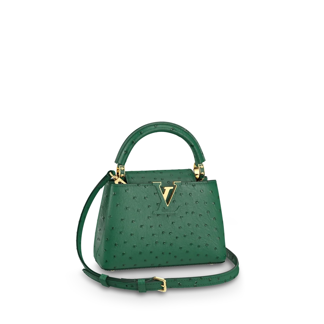 루이비통 카퓌신 미니 N93483