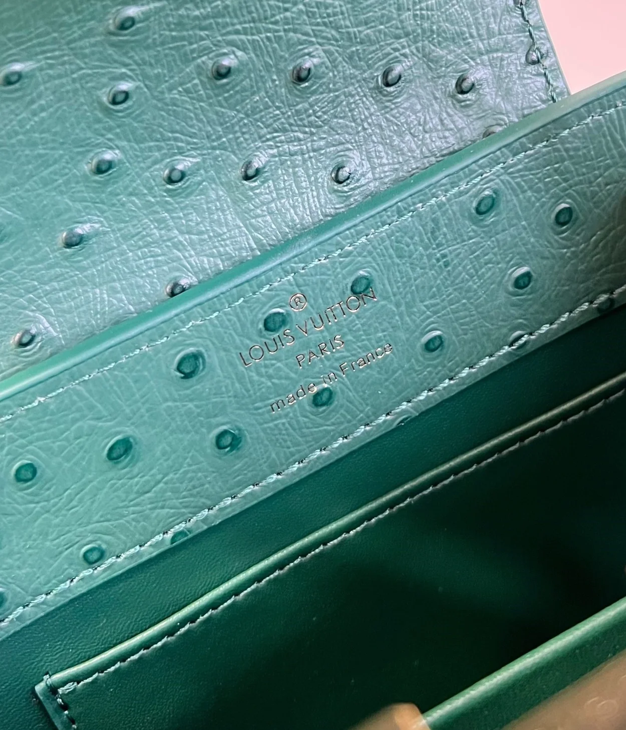 루이비통 카퓌신 미니 N93483