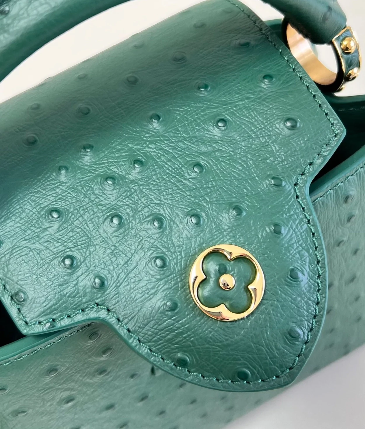 루이비통 카퓌신 미니 N93483