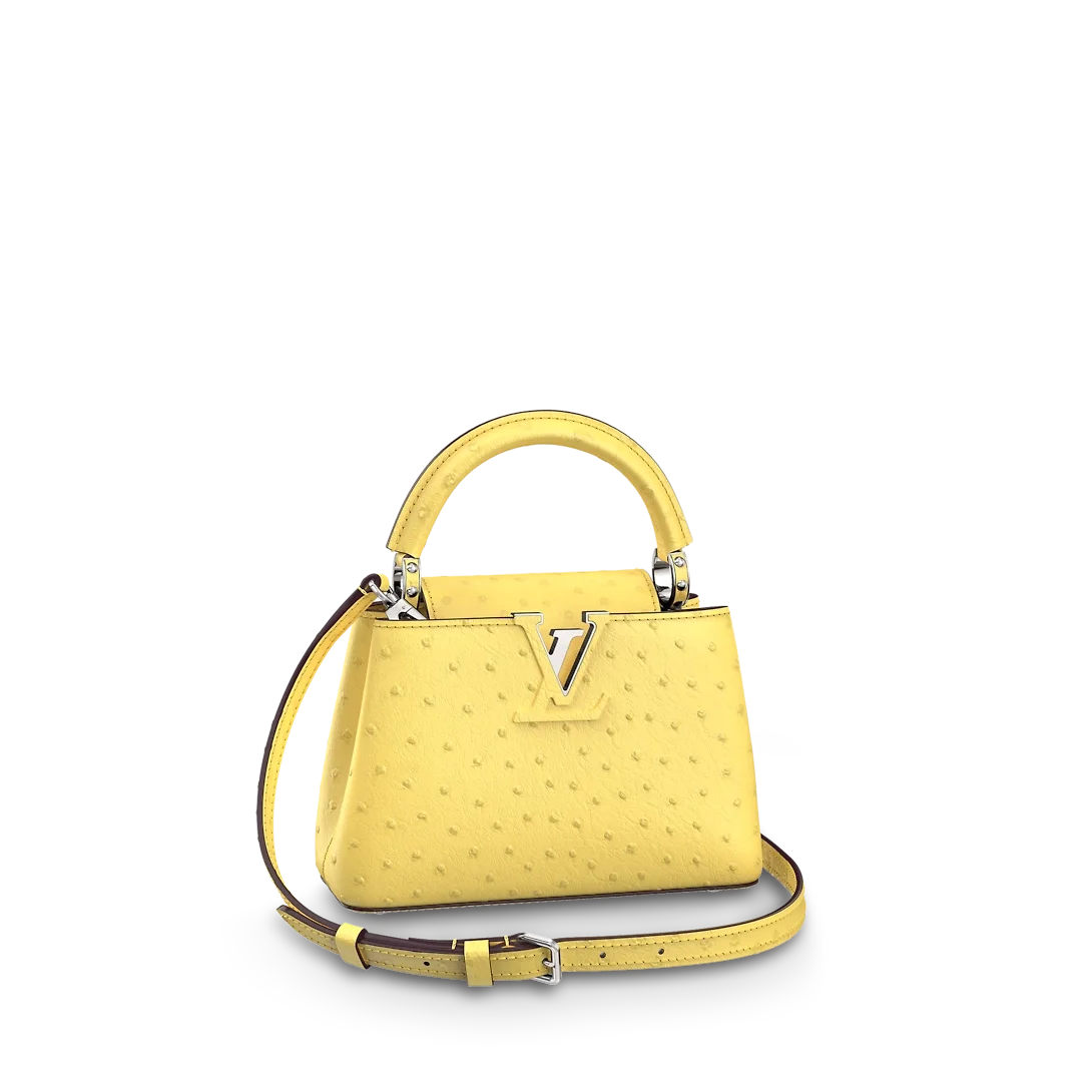 루이비통 카퓌신 미니 N81196