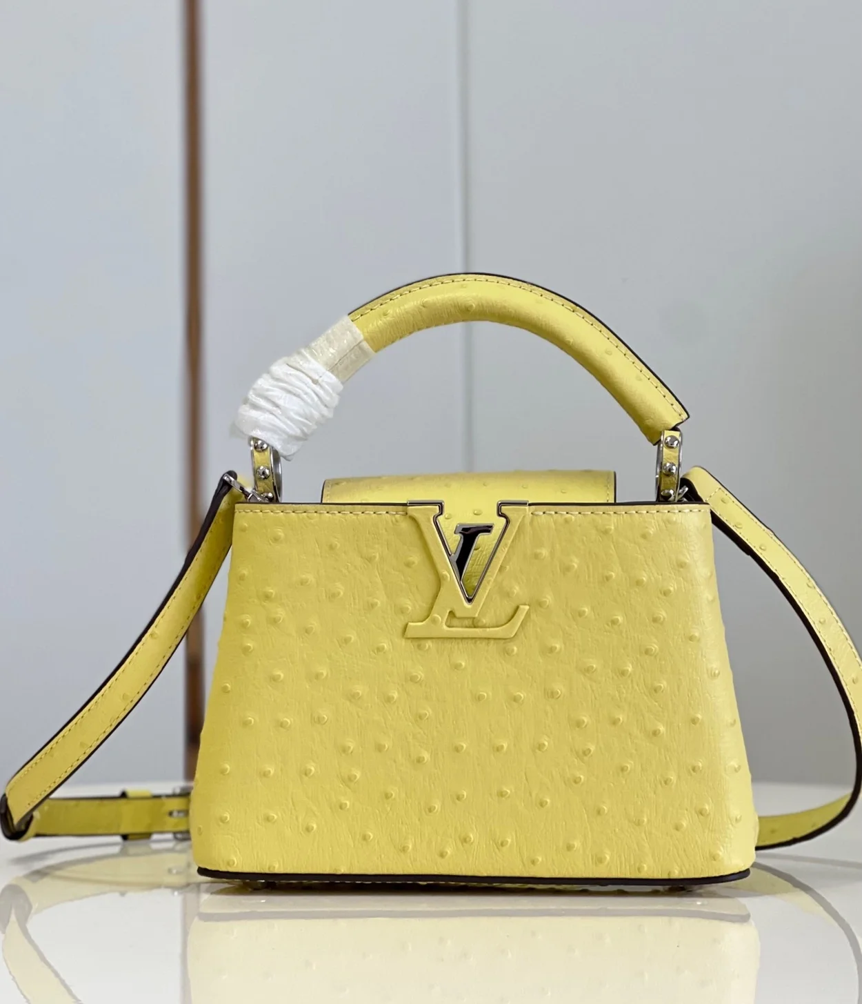 루이비통 카퓌신 미니 N81196