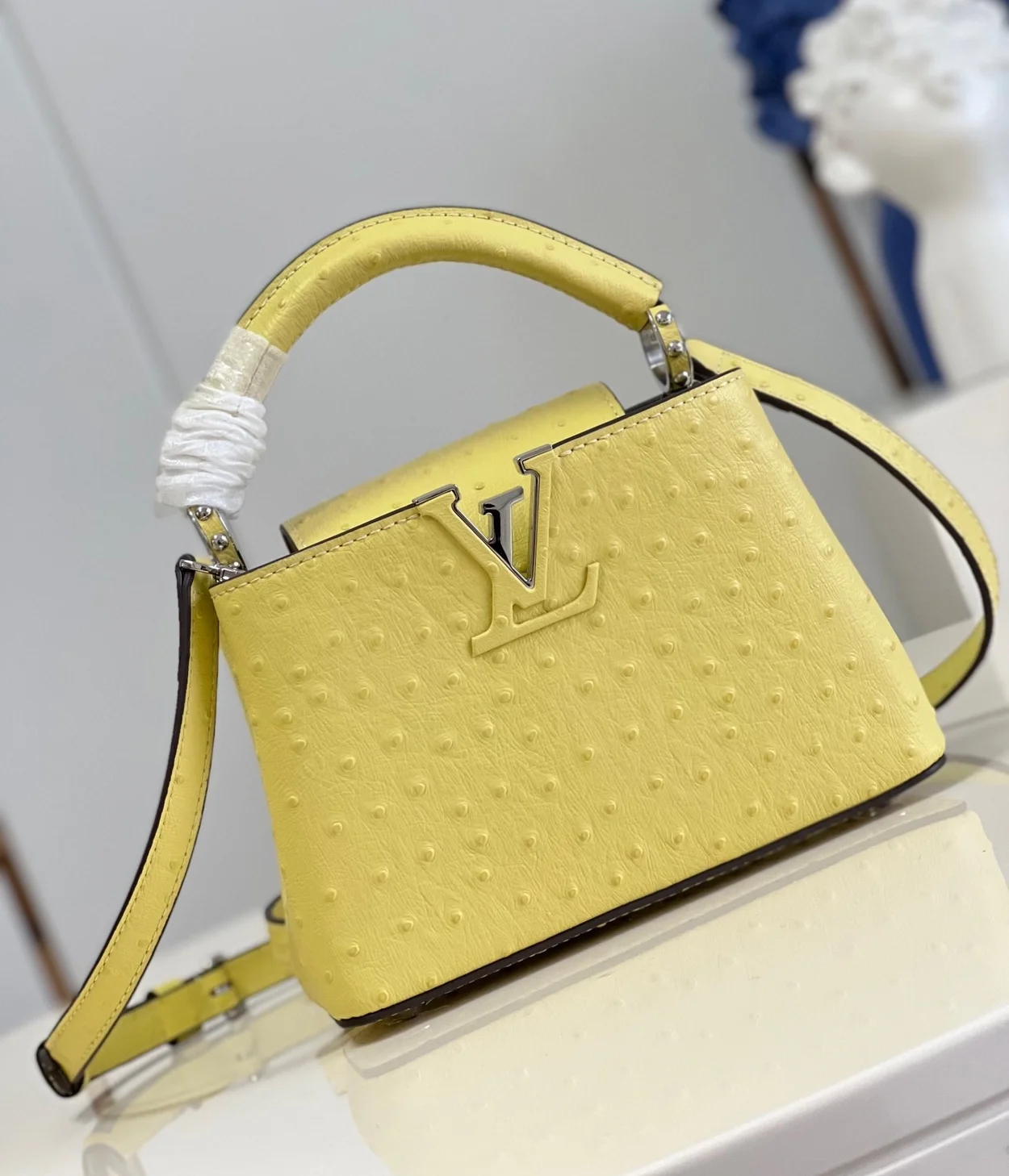 루이비통 카퓌신 미니 N81196