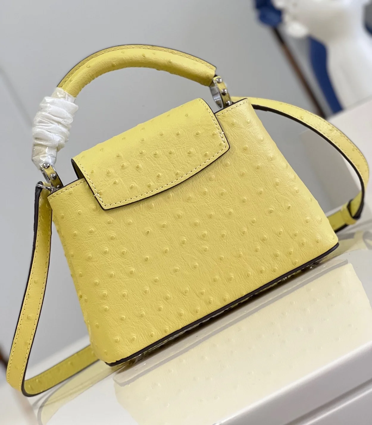 루이비통 카퓌신 미니 N81196