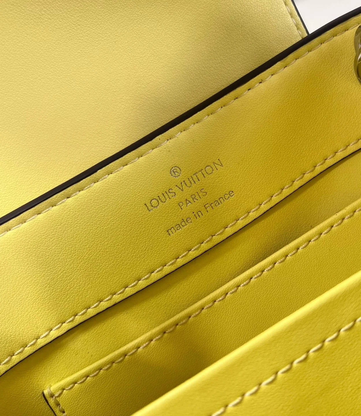 루이비통 카퓌신 미니 N81196