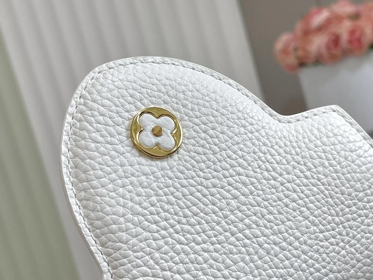 루이비통 카퓌신 MM M48865