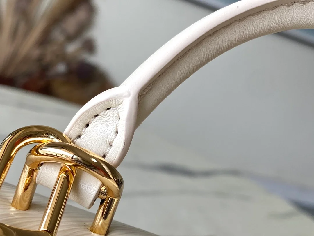 루이비통 하이드 앤드 시크 에피 핸드백 M22720