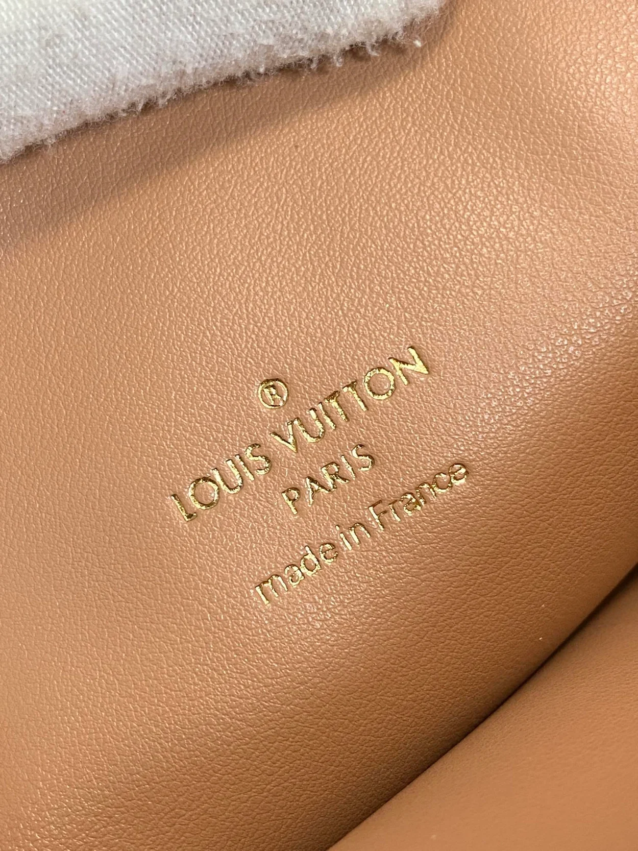 루이비통 쿠상 PM M22395