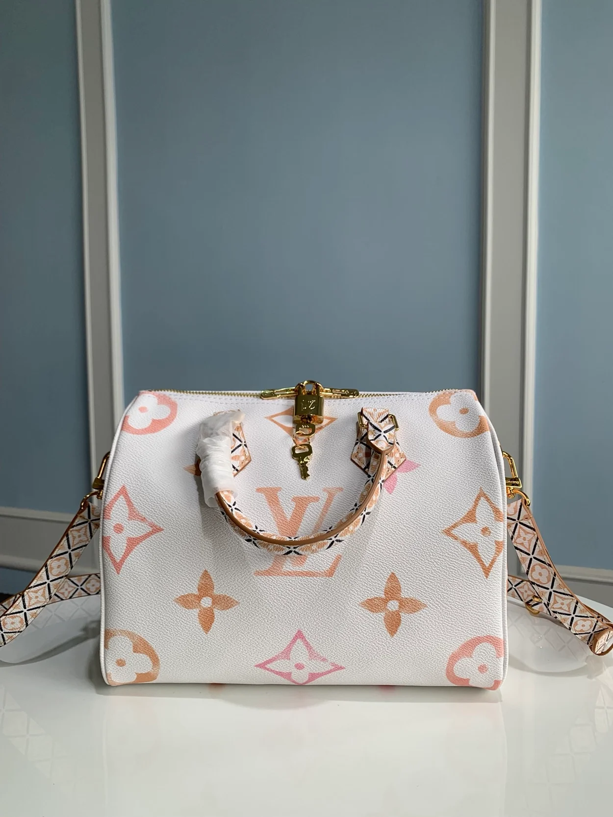 루이비통 스피디 반둘리에 25 M22987