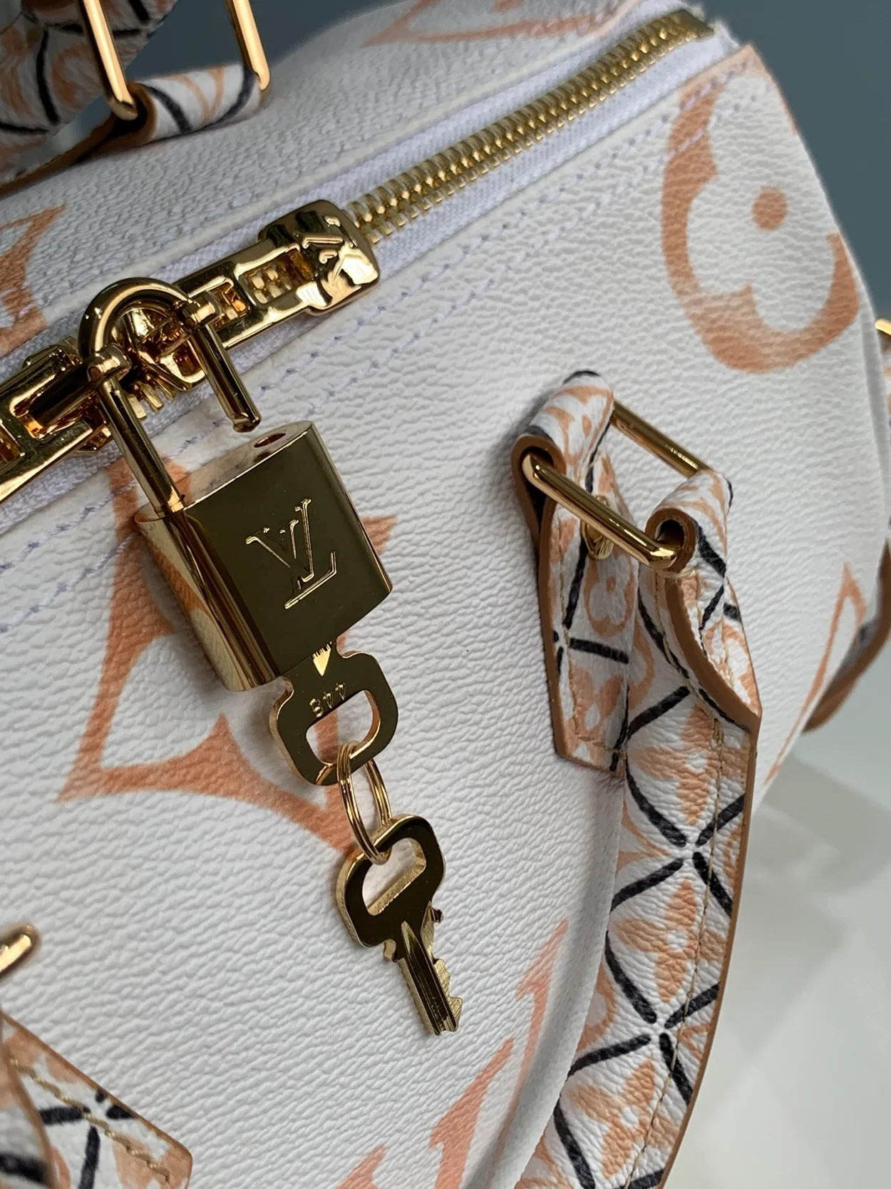 루이비통 스피디 반둘리에 25 M22987