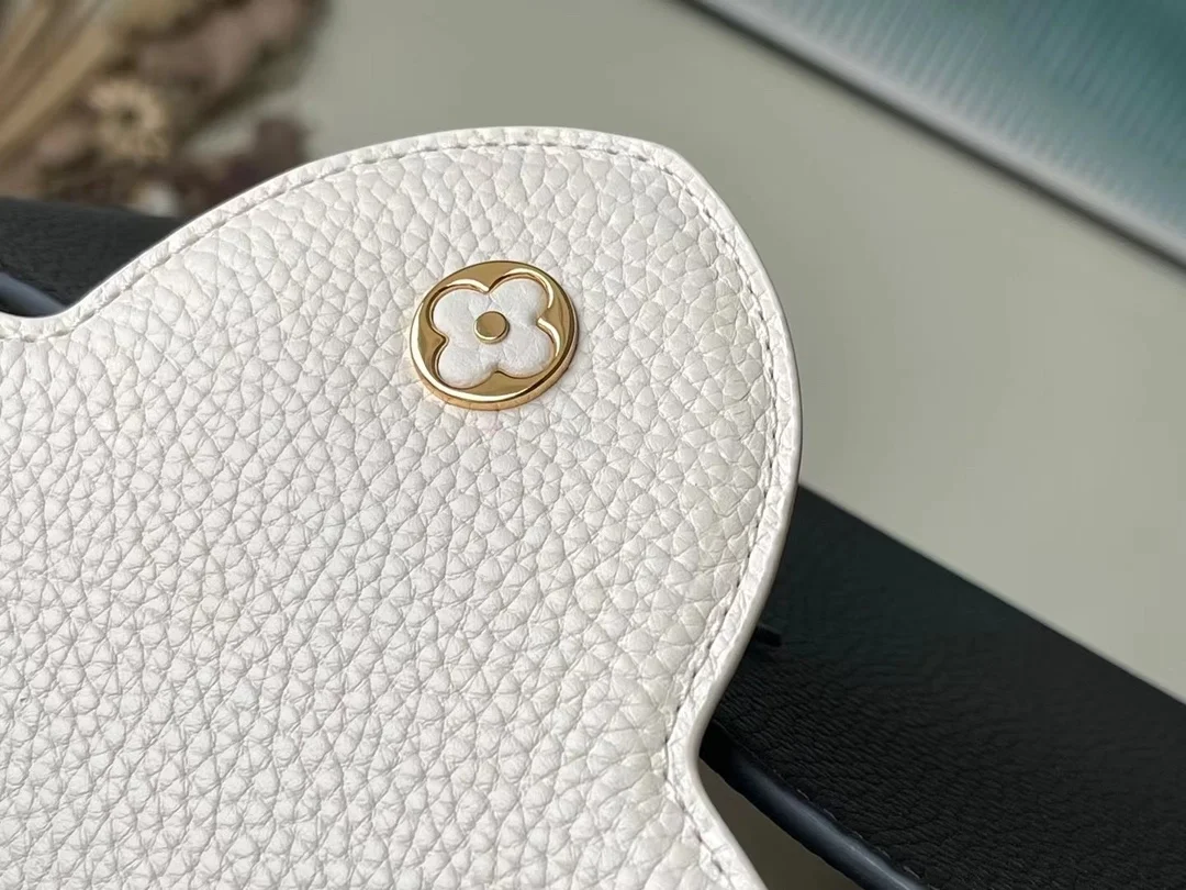 루이비통 카퓌신 MM 백 M22512