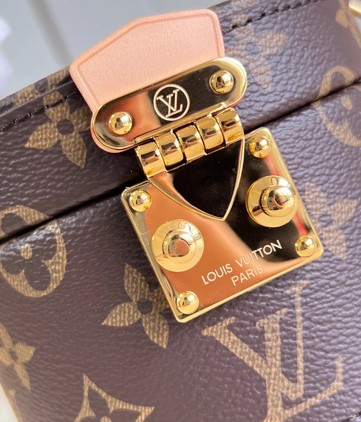 루이비통 스콧 모노그램 캔버스 M46933