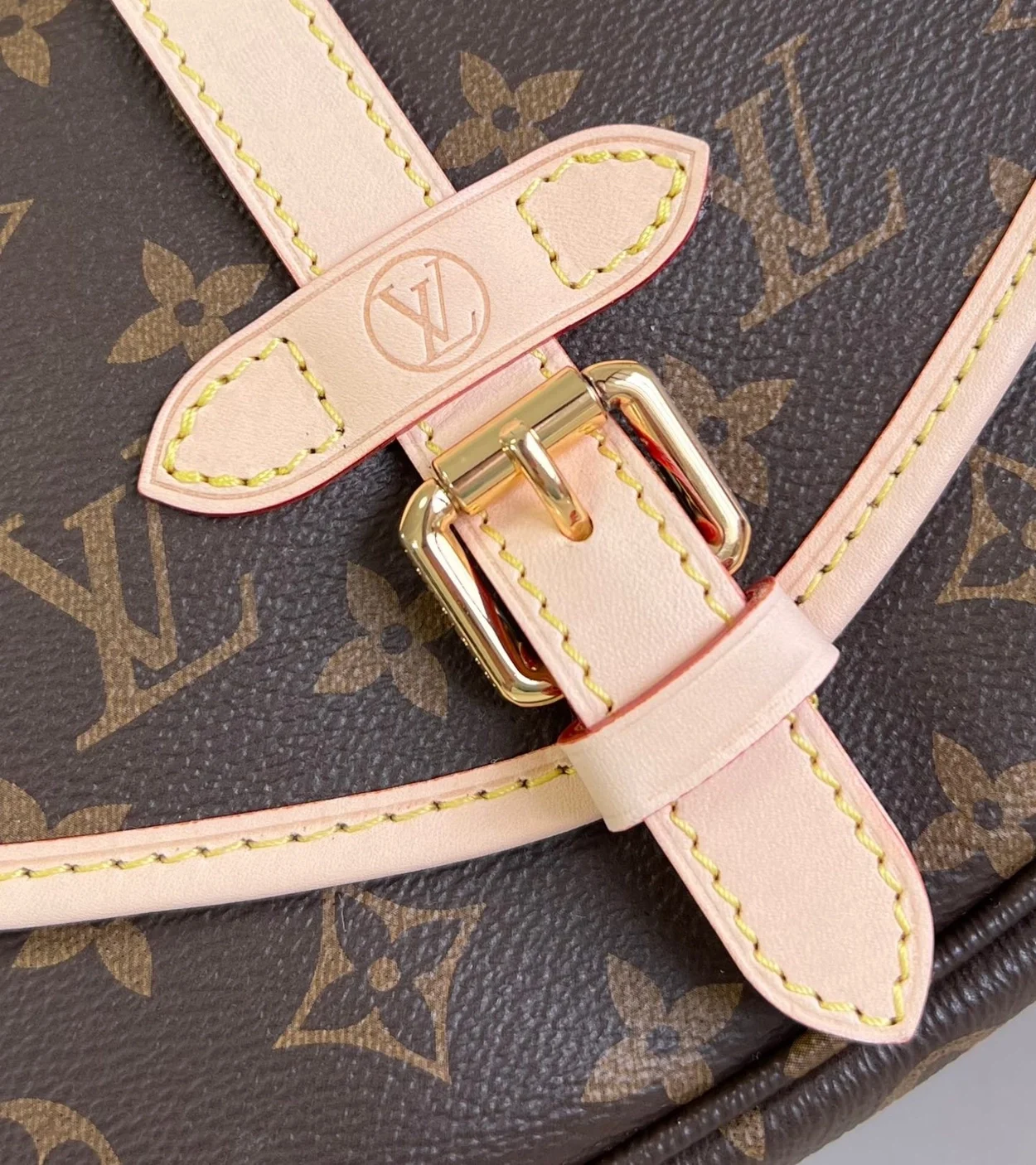 루이비통 소뮈르 BB M46740