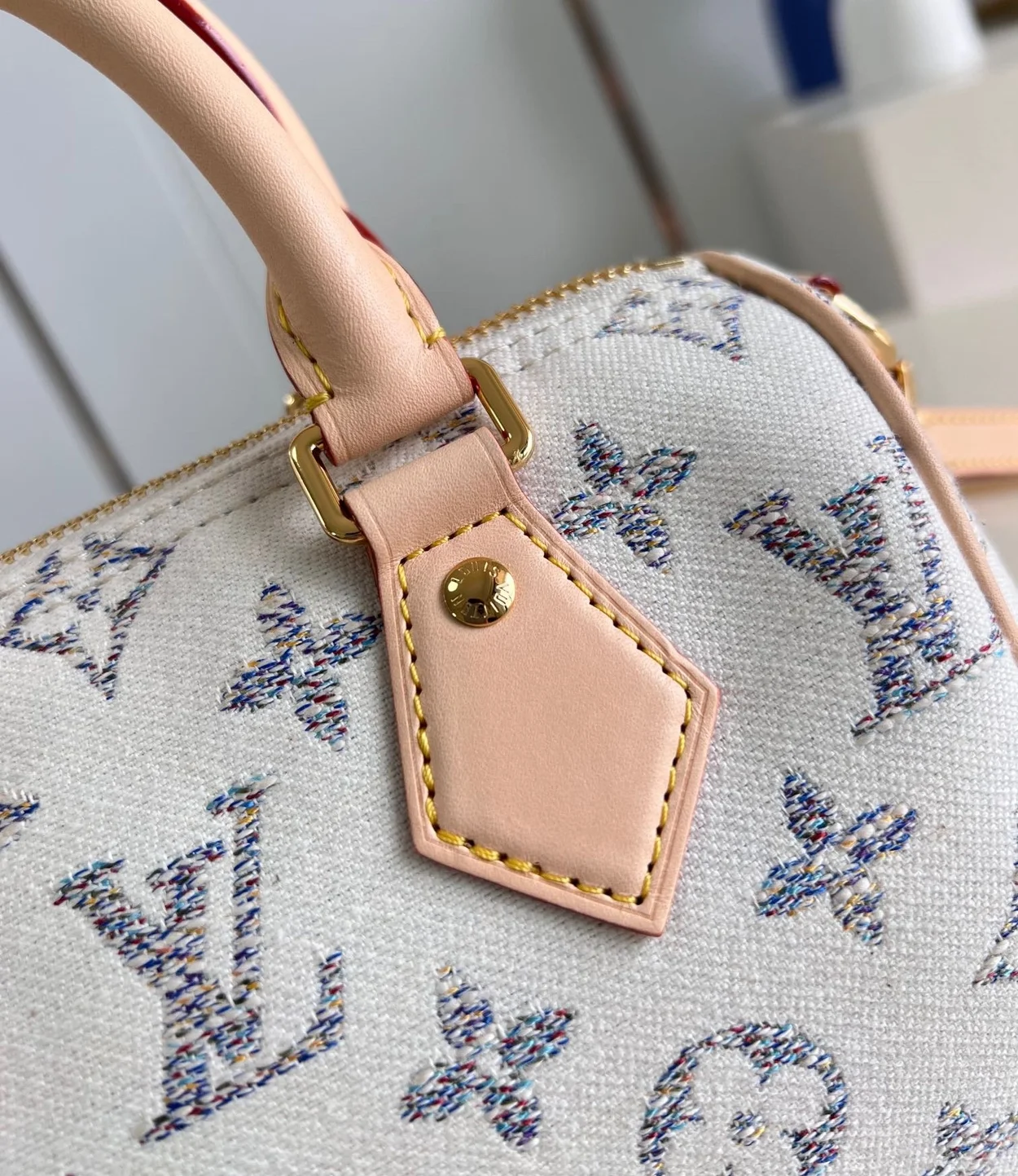 루이비통 스피디 반둘리에 20 M24709