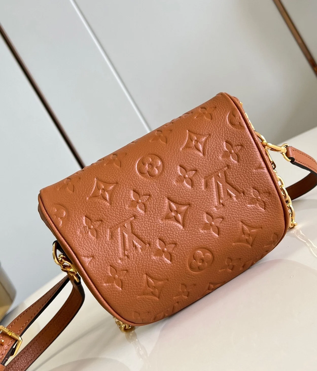 루이비통 미니 범백 M12753