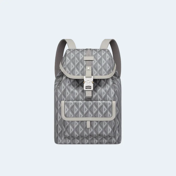 디올 힛 더 로드 백팩 그레이