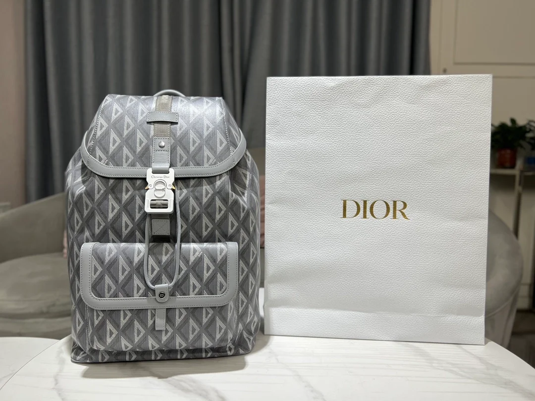 디올 힛 더 로드 백팩 그레이