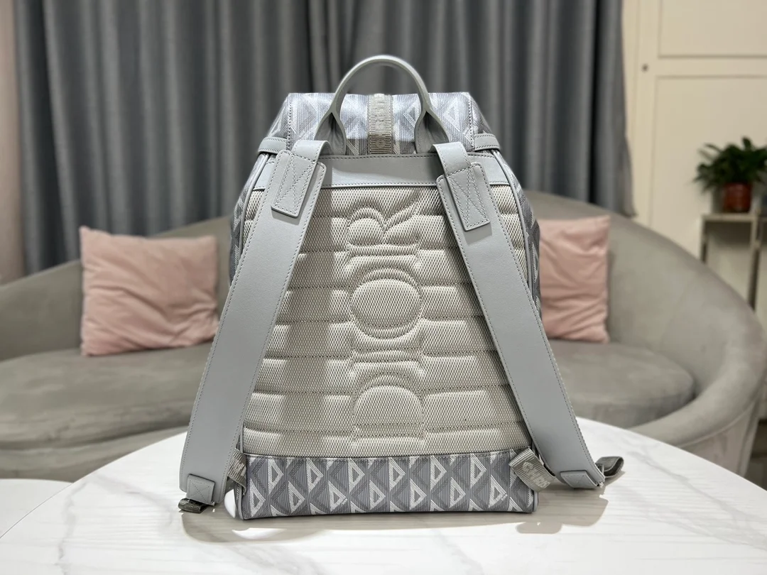 디올 힛 더 로드 백팩 그레이