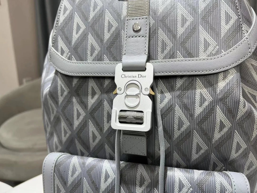 디올 힛 더 로드 백팩 그레이