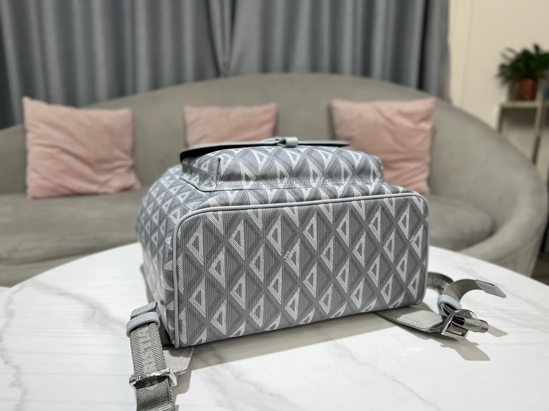 디올 힛 더 로드 백팩 그레이