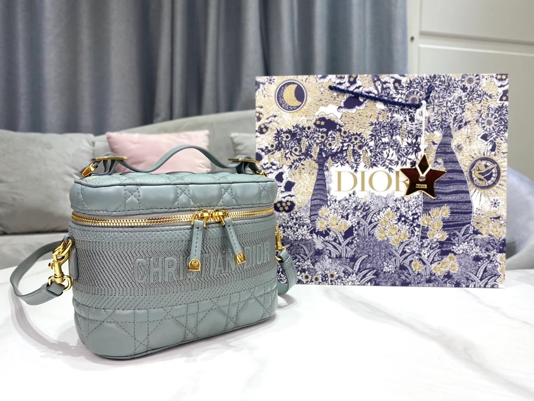 디올 레이디 트래블 베니티 케이스 그레이