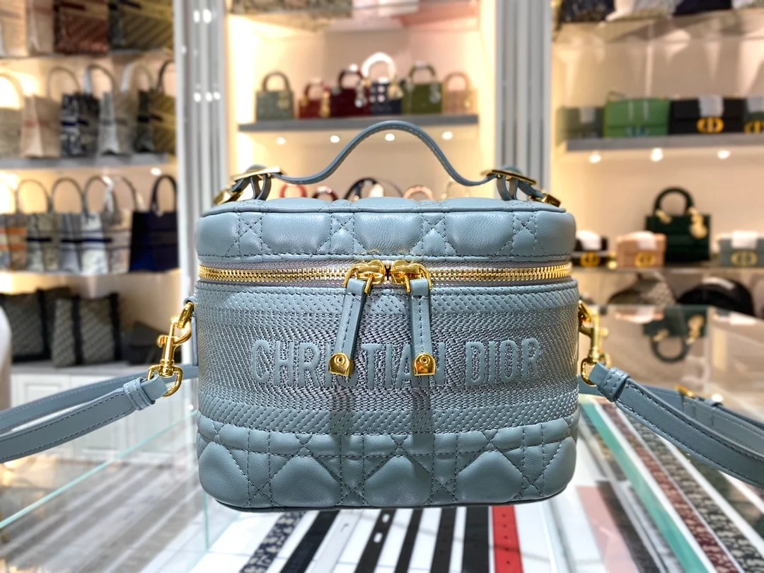 디올 레이디 트래블 베니티 케이스 그레이