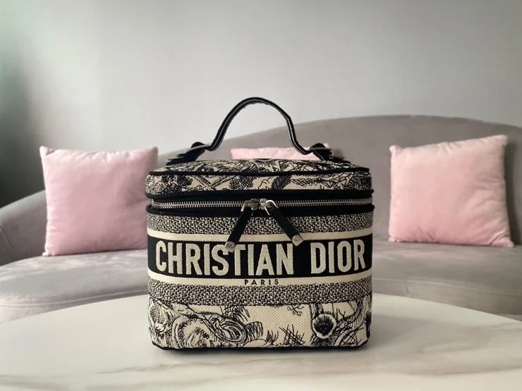 디올 트래블 베니티 케이스