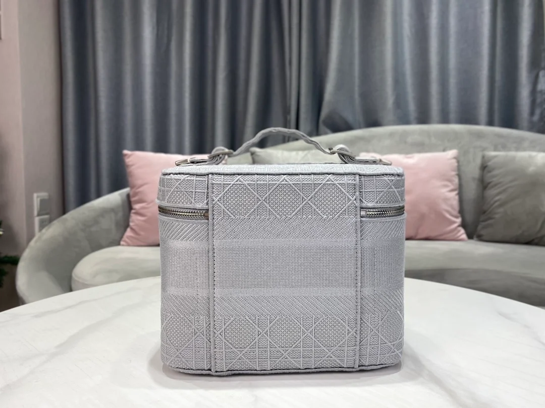 디올 레이디 트래블 베니티 케이스