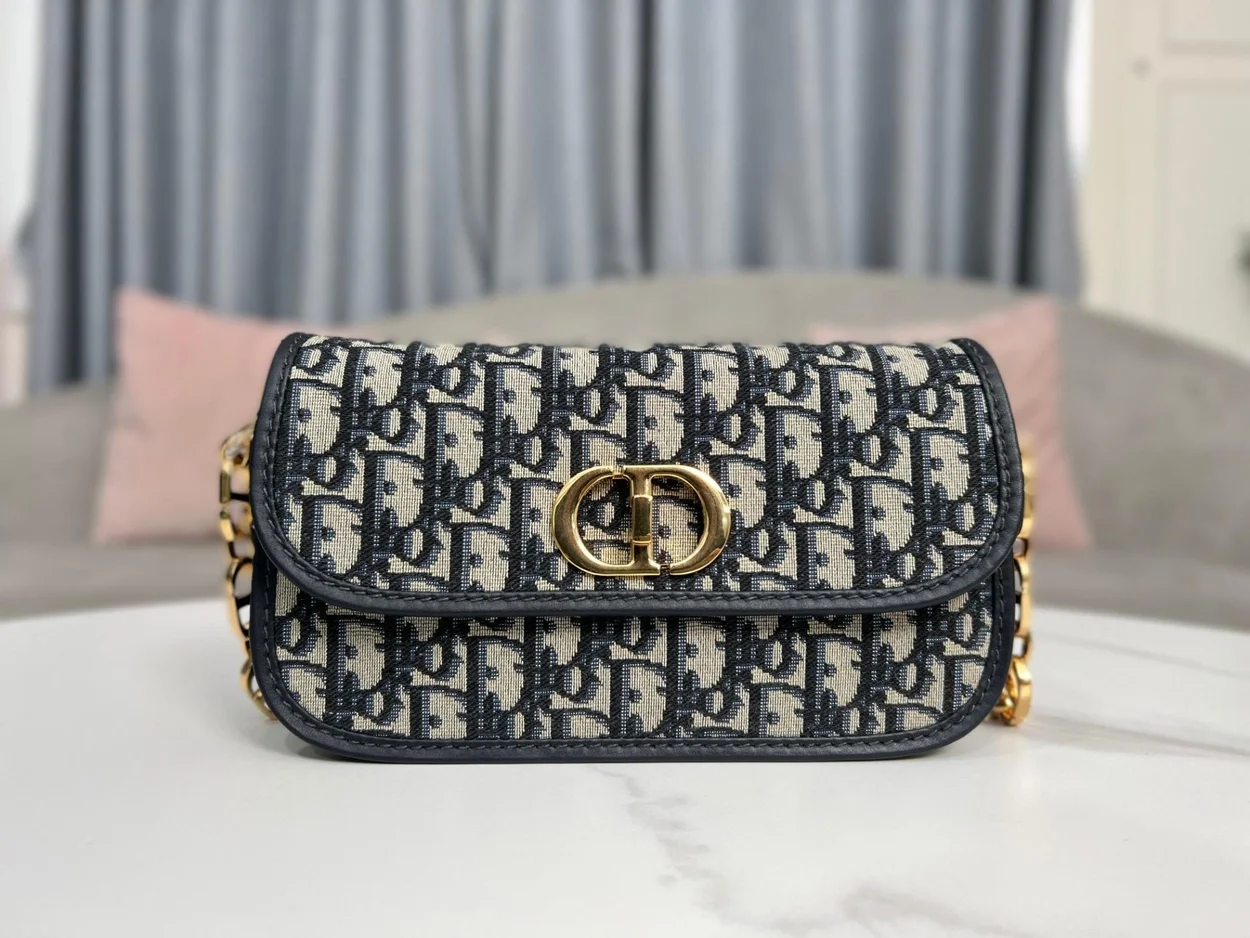 디올 30 몽테인 AVENUE 백