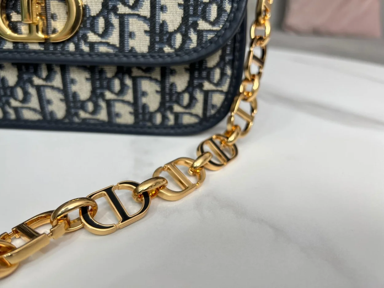 디올 30 몽테인 AVENUE 백