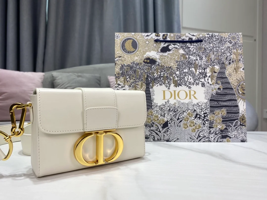디올 레이디 30 몽테인 박스 백 화이트
