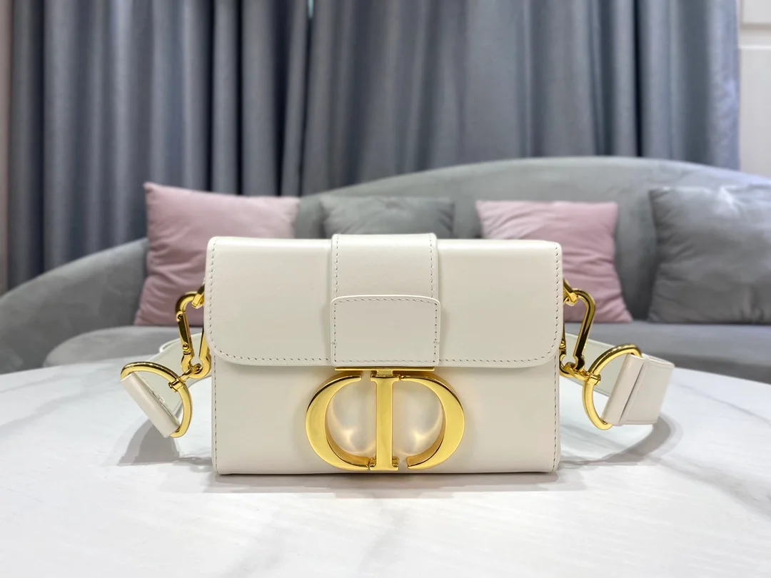 디올 레이디 30 몽테인 박스 백 화이트