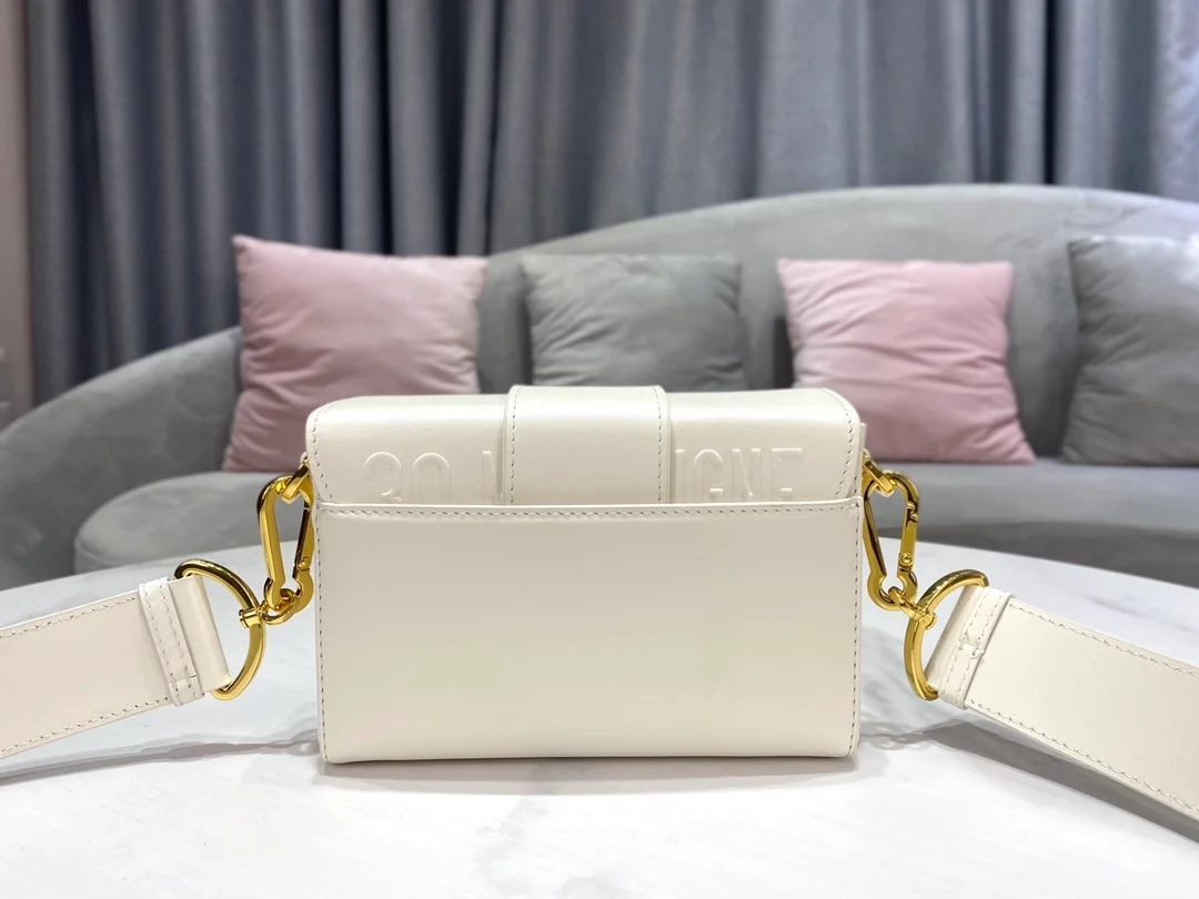 디올 레이디 30 몽테인 박스 백 화이트