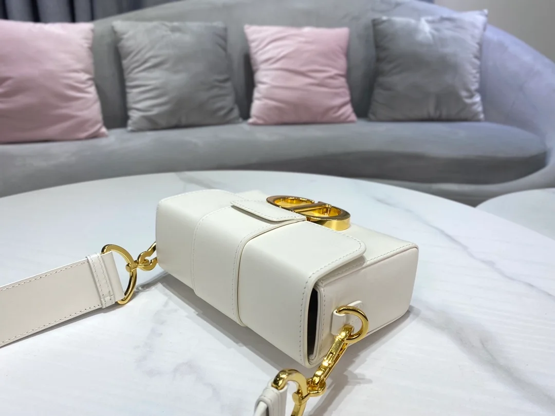 디올 레이디 30 몽테인 박스 백 화이트