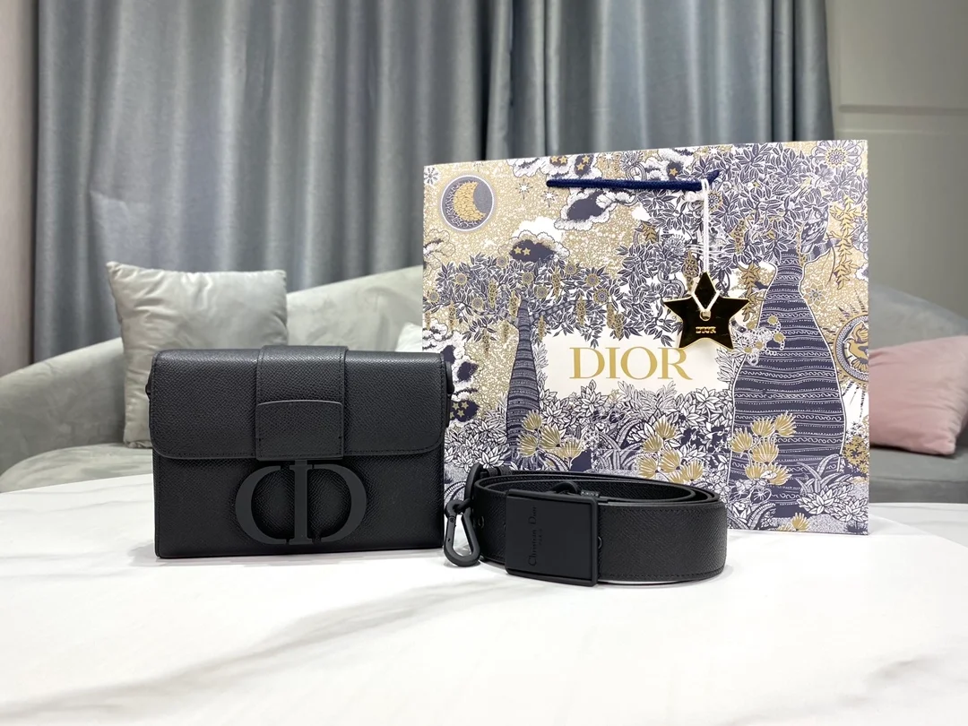 디올 30 몽테인 박스 숄더 백