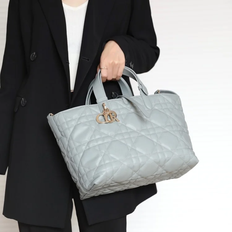 디올 뚜주흐백 미디엄