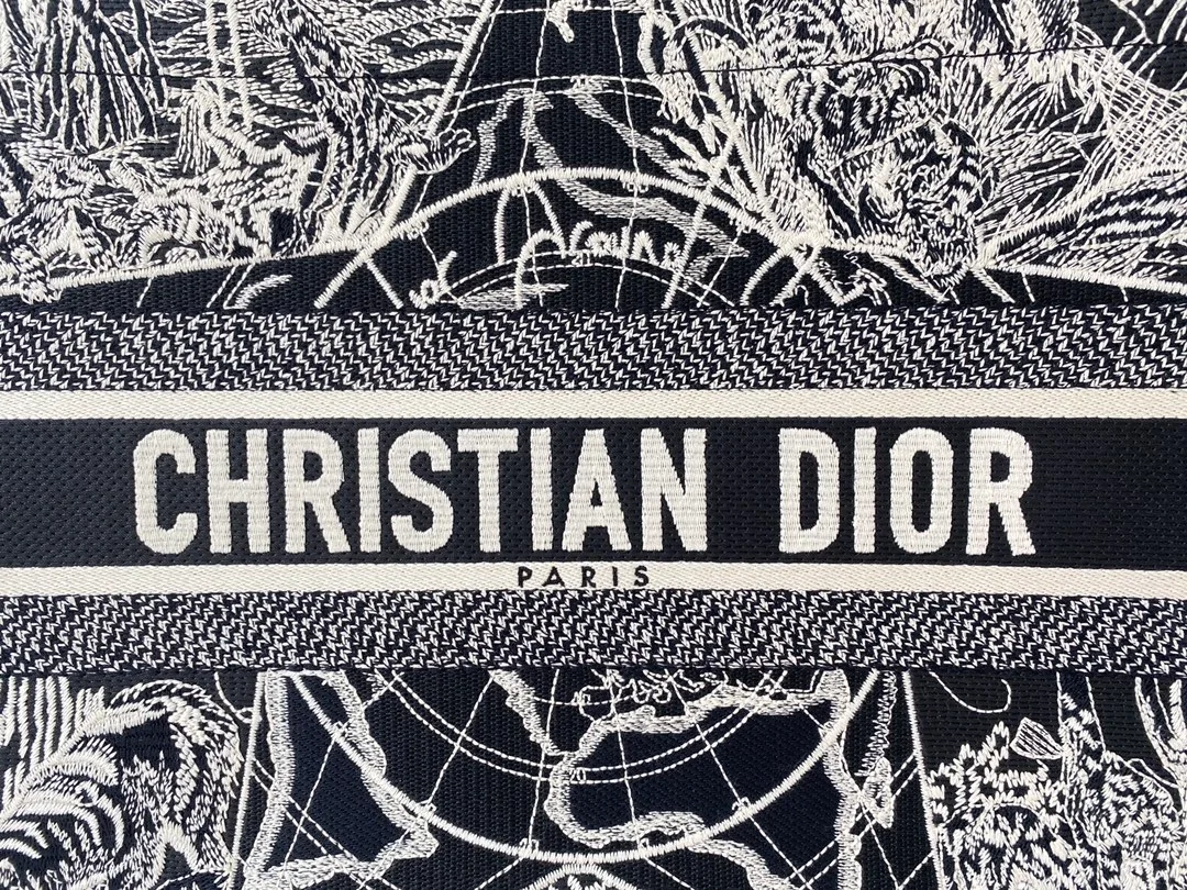 디올 별자리 캔버스 북 토트 미디움 백