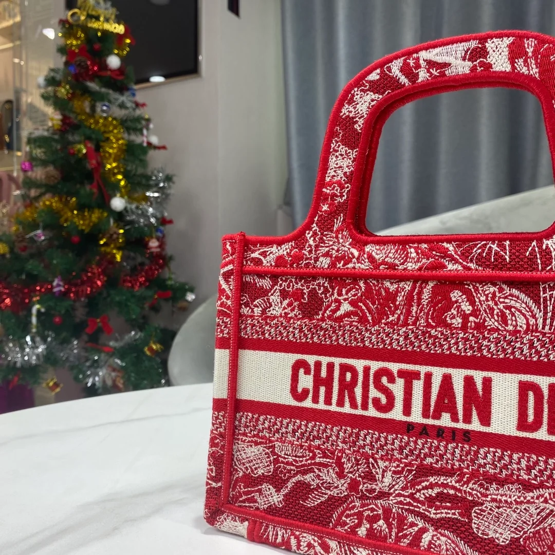 디올 북 토트 미니 백 레드