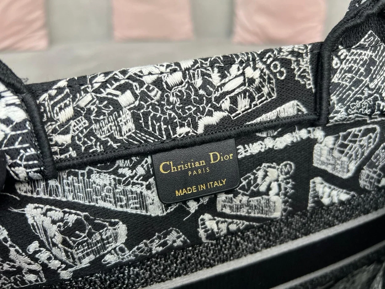 디올 플랜 드 파리 자수 북 토트 미디움 백