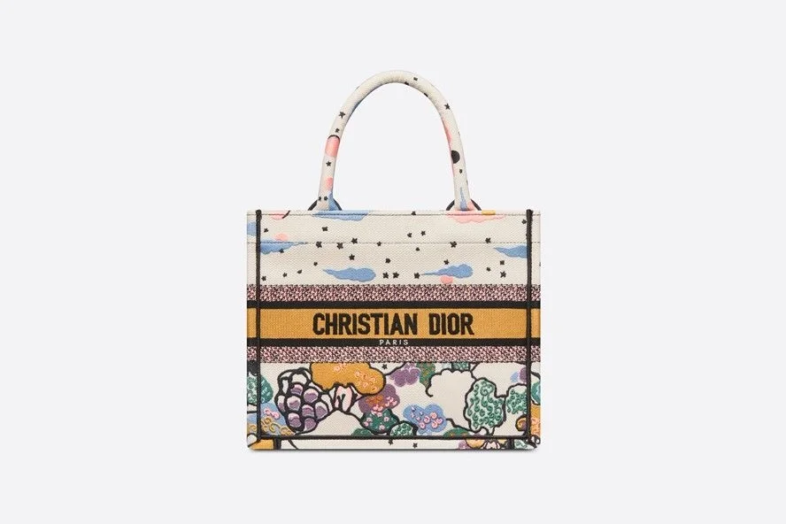 디올 북 토트 드림 스카이 스몰 백