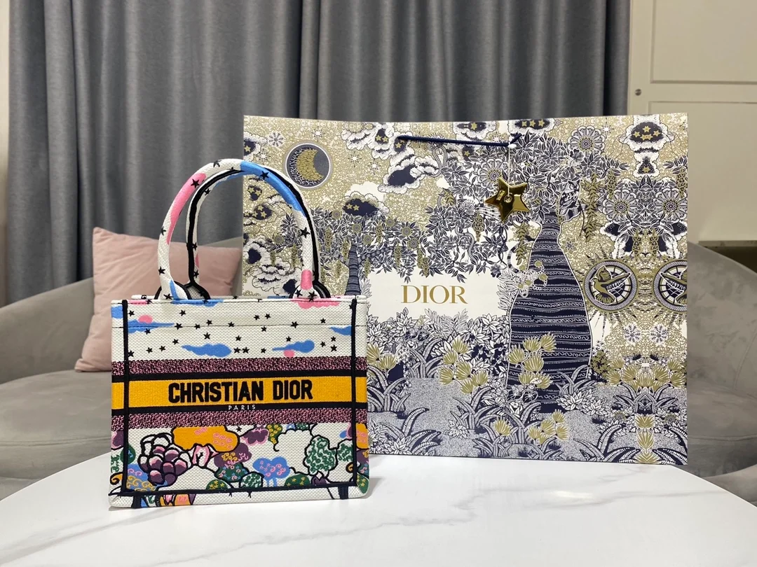 디올 북 토트 드림 스카이 스몰 백