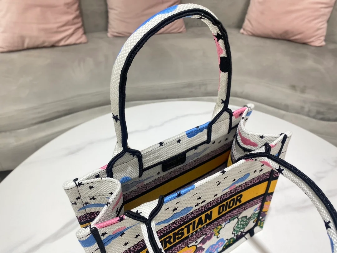 디올 북 토트 드림 스카이 스몰 백