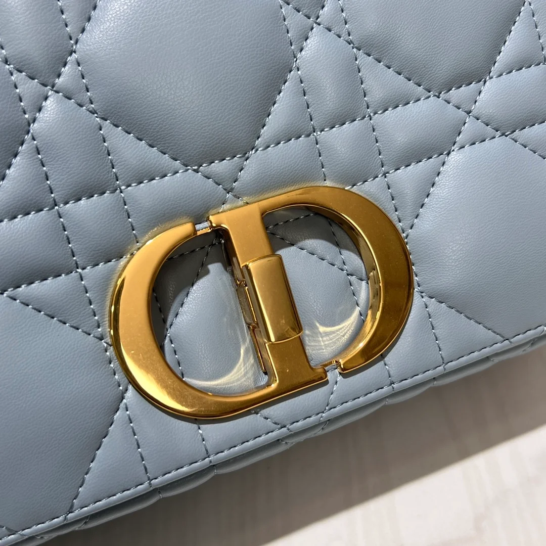 디올 카로 미디움 백 호라이즌 블루
