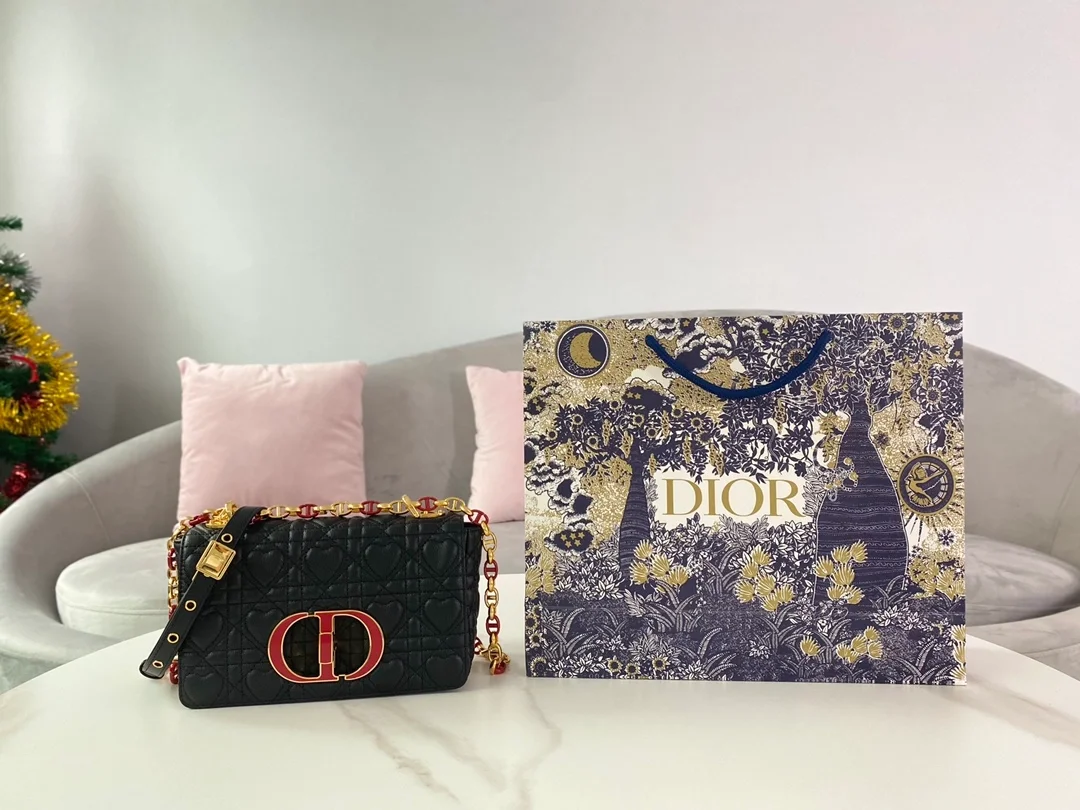 디올 레이디 까나쥬 하트 카로 백