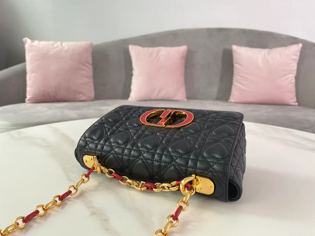 디올 레이디 까나쥬 하트 카로 백