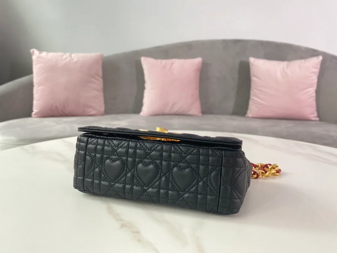 디올 레이디 까나쥬 하트 카로 백