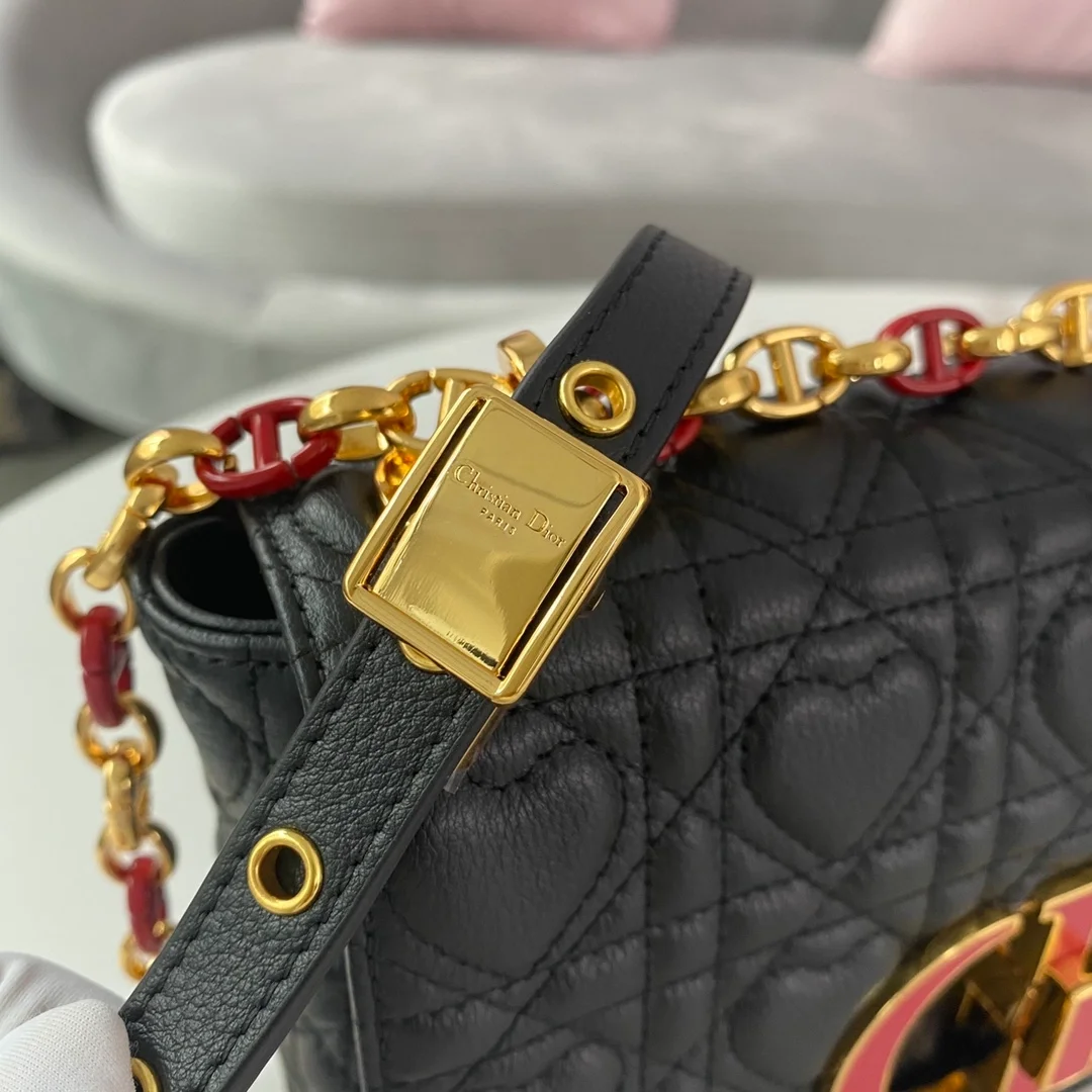 디올 레이디 까나쥬 하트 카로 백