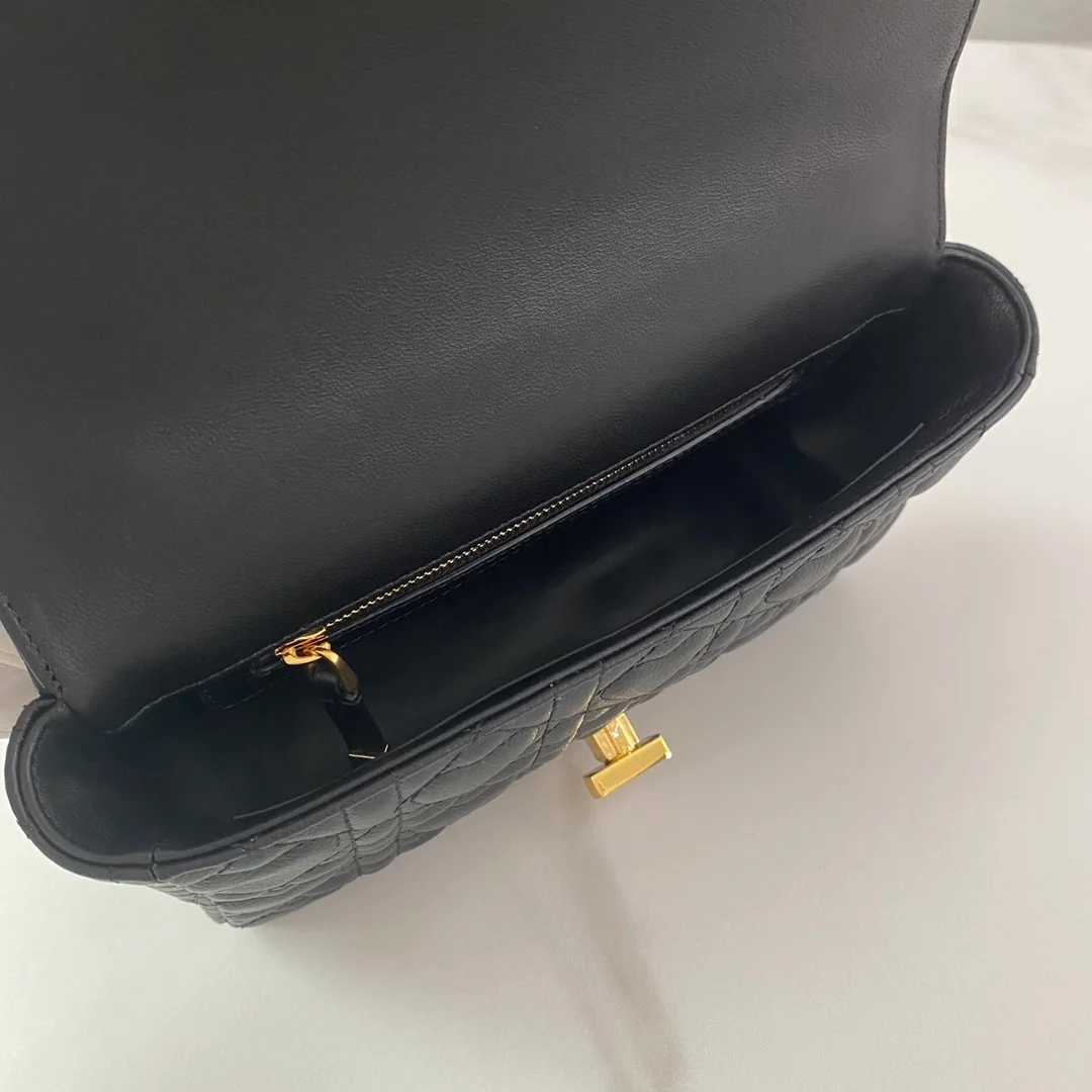 디올 레이디 까나쥬 하트 카로 백